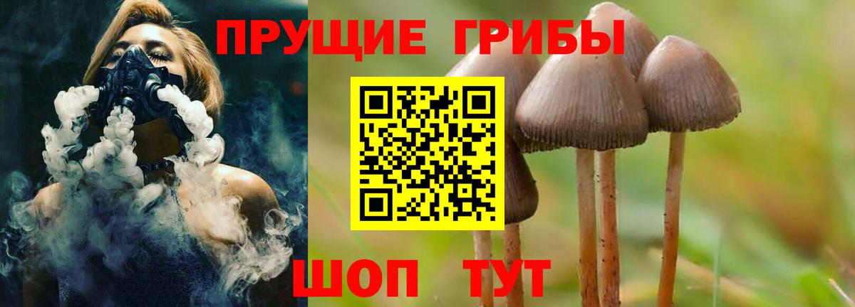 Полысаево  Галлюциногенные грибы Psilocybe  Псилоцибиновые грибы GOLDEN TEACHER  Вход с VPN 